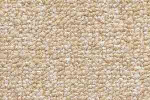 Ковролин Radici Trotter Panna 9498 фото  | FLOORDEALER